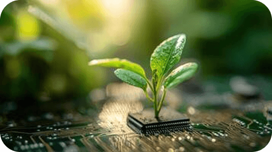 Sustainable Digital Learning